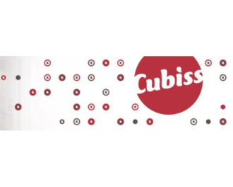 Logo Stichting Cubiss Next