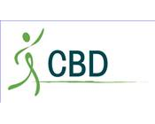 Logo CoMore CBD