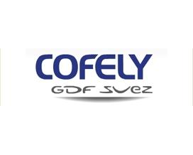 Logo Cofely Experts | Rotating