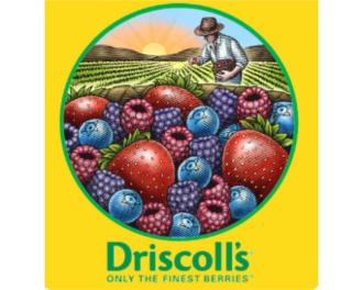 Logo Driscoll's