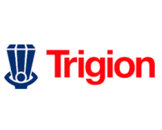 Logo Trigion Brand- en Beveiligingstechniek