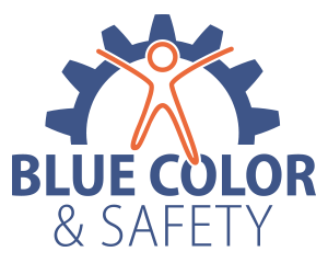 Logo BCS Nederland
