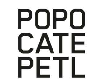Logo Popocatepetl the Mexican
