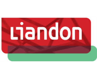 Logo Liandon