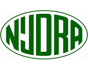 Logo Nijdra Group