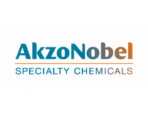 Logo AkzoNobel Specialty Chemicals