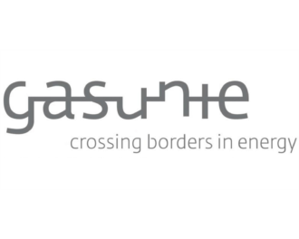 Logo N.V. Nederlandse Gasunie (cluster Zuidwending)