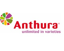 Logo Anthura
