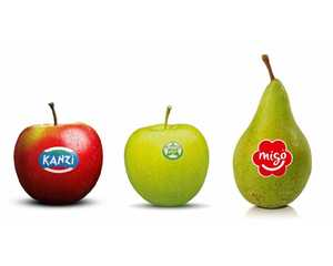 Logo European Fruit Cooperation (EFC)