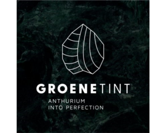 Logo Groene Tint, via MovetoCatch