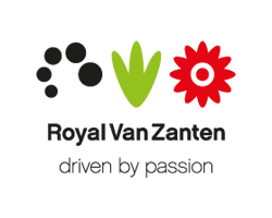 Logo Van Zanten Breeding