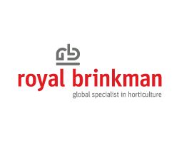 Logo Royal Brinkman via MovetoCatch