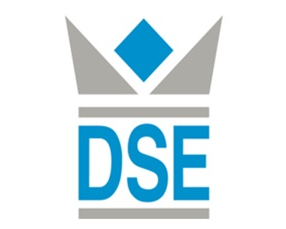 Logo DSE IT-Services