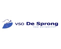 Logo VSO De Sprong