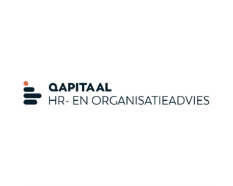 Logo De Jong Accountants en Adviseurs