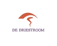 Logo Vrijeschool de Driestroom