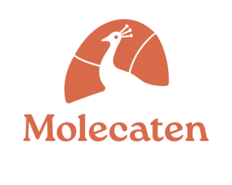 Logo Molecaten Park Valkenburg